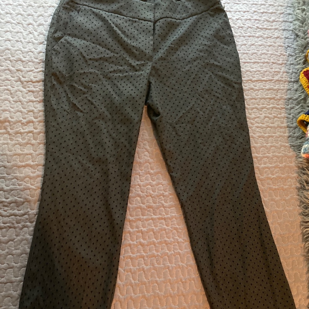 Dress pants